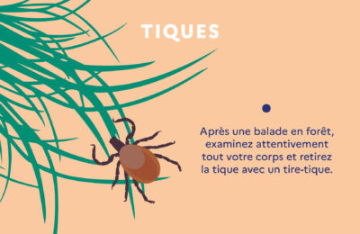 Mon environnement intérieur/extérieur, ma santé !