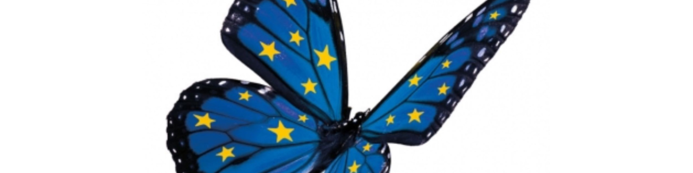 Soirée Fête de l’Europe et des Pays